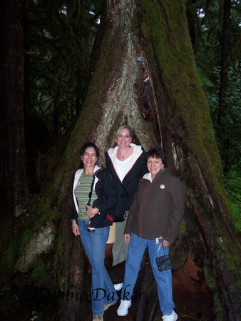 Deb, Jen, and Carolyn in a Ketchikan rain forest