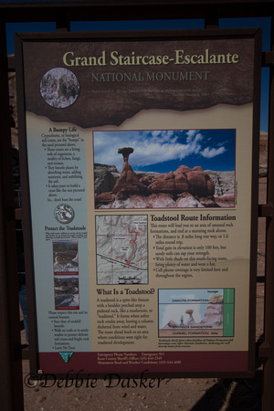 The Toadstools, Grand Staircase - Escalante National Monument