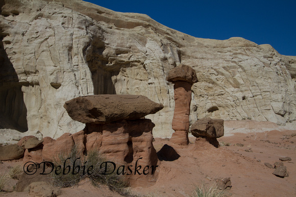 The Toadstools, Grand Staircase - Escalante National Monument