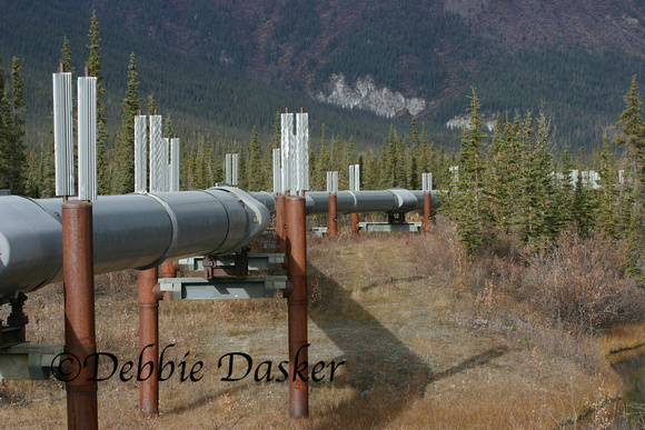 Alaskan pipeline, near Wiseman, Alaska