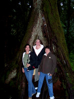 Deb, Jen, and Carolyn in a Ketchikan rain forest